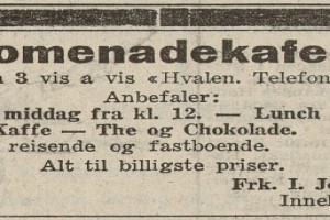 Bilde av Promenadekafeen